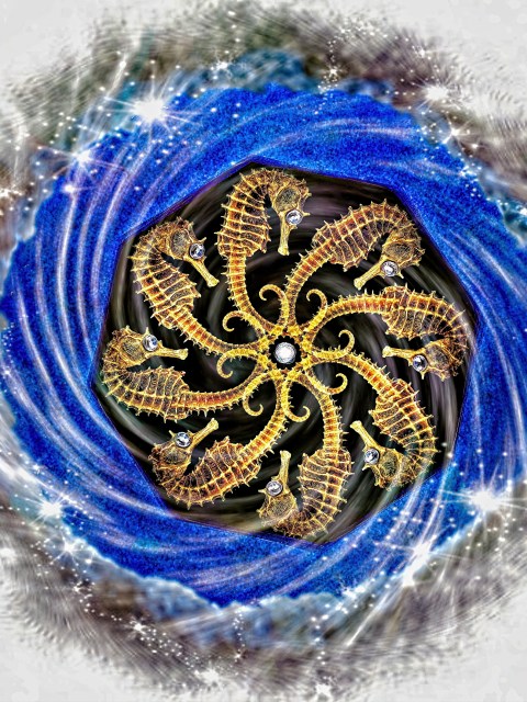 Eugenie-fine art-dancing seahorses-pattern-repetition-circular-movement-blue