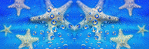 Eugenie - Fine Art - blue - shell - stars - white