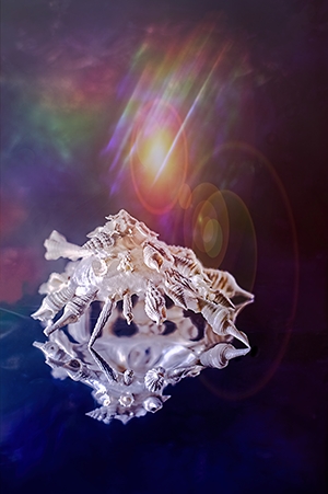 Eugenie - Fine Art - water - refection - sky - firmament - carrier shell