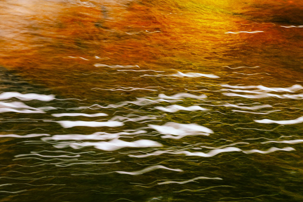 Tranquil water scene at the shoreline, evoking reflection, stillness, and fleeting beauty of memory